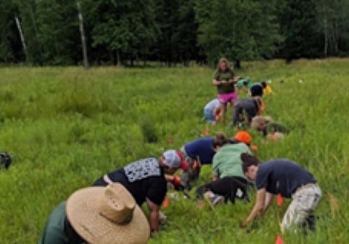 The Impact of Climate Change and Pollution on Wildlife Animals in Anoka County, Minnesota